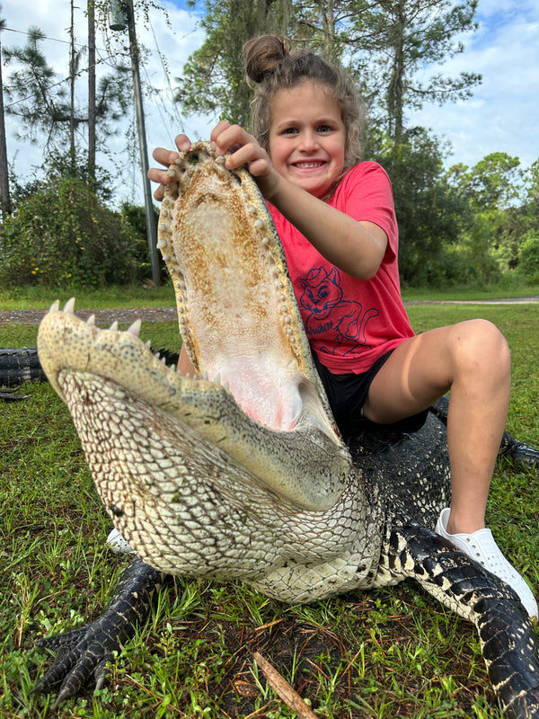 Alligator hunt photo