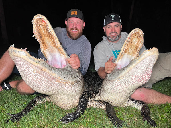 corporate alligator hunt
