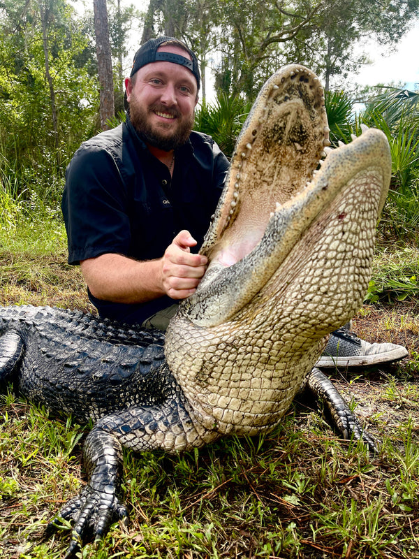 droptine studios alligator hunt