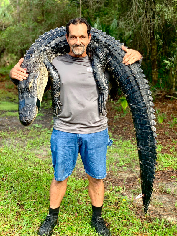 gator taker hooks