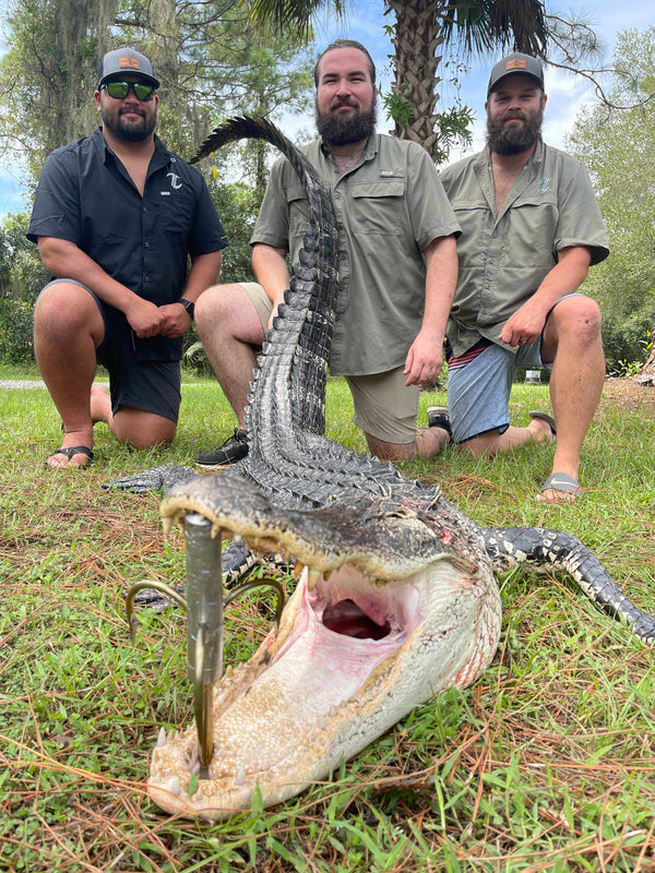 Alligator hunt photo