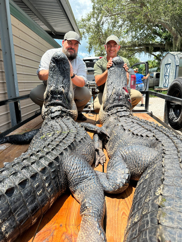 Monster Record Alligator Hunt