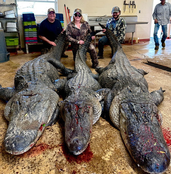 Wild Swap Hunts